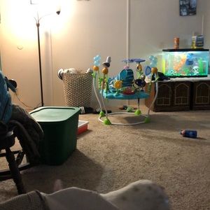 Meet your Posher, Grace